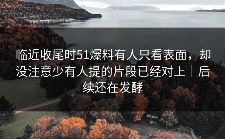 临近收尾时51爆料有人只看表面，却没注意少有人提的片段已经对上｜后续还在发酵